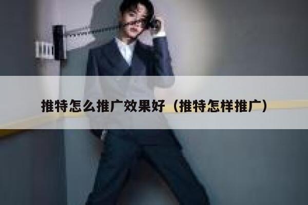 推特怎么推广效果好（推特怎样推广） 第1张