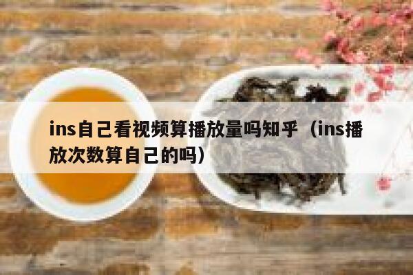 ins自己看视频算播放量吗知乎（ins播放次数算自己的吗） 第1张
