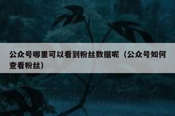公众号哪里可以看到粉丝数据呢（公众号如何查看粉丝） 第1张