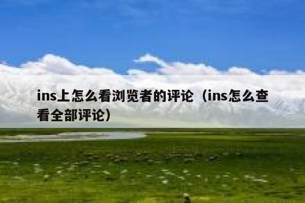 ins上怎么看浏览者的评论（ins怎么查看全部评论） 第1张