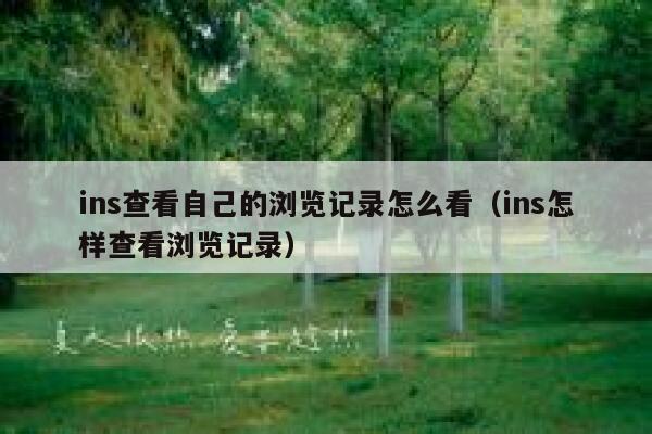 ins查看自己的浏览记录怎么看（ins怎样查看浏览记录） 第1张