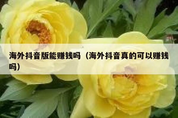 海外抖音版能赚钱吗（海外抖音真的可以赚钱吗） 第1张