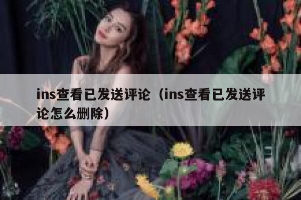 ins查看已发送评论（ins查看已发送评论怎么删除） 第1张