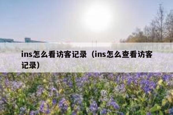 ins怎么看访客记录（ins怎么查看访客记录） 第1张