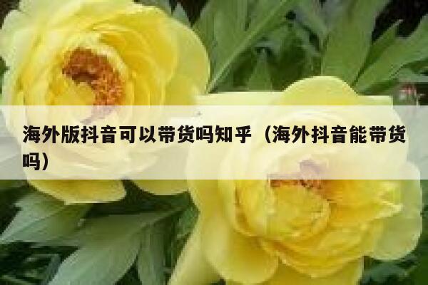 海外版抖音可以带货吗知乎（海外抖音能带货吗） 第1张