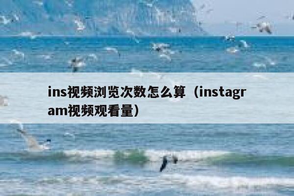 ins视频浏览次数怎么算（instagram视频观看量） 第1张