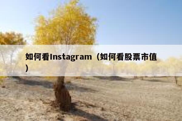 如何看Instagram（如何看股票市值） 第1张