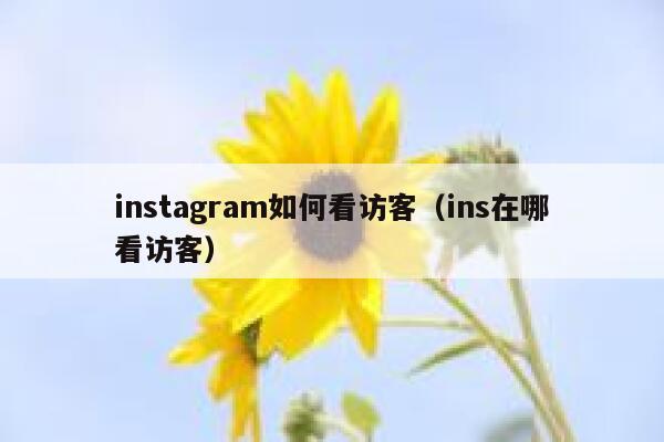 instagram如何看访客（ins在哪看访客） 第1张