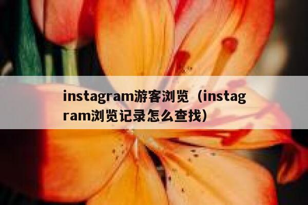 instagram游客浏览（instagram浏览记录怎么查找） 第1张