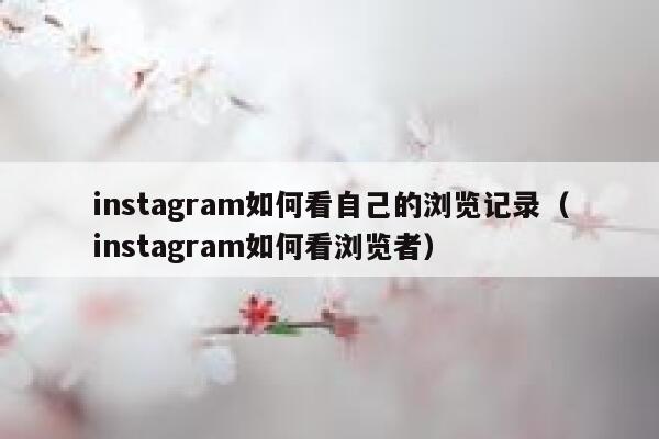 instagram如何看自己的浏览记录（instagram如何看浏览者） 第1张