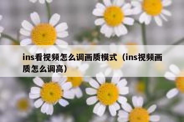 ins看视频怎么调画质模式（ins视频画质怎么调高） 第1张