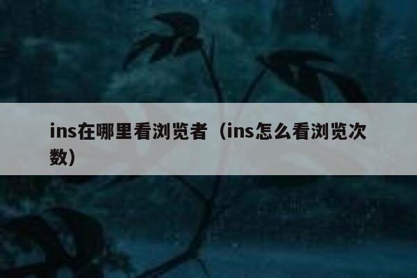 ins在哪里看浏览者（ins怎么看浏览次数） 第1张