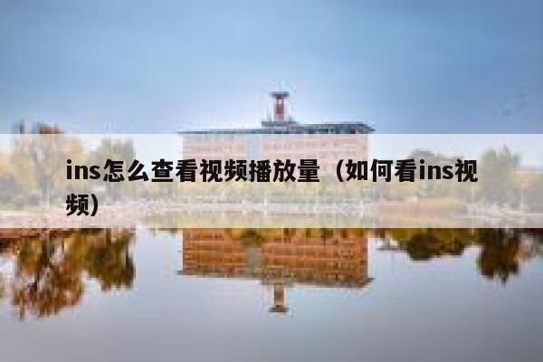 ins怎么查看视频播放量（如何看ins视频） 第1张
