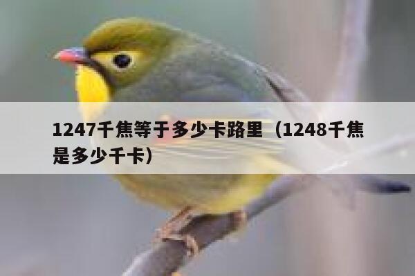 1247千焦等于多少卡路里（1248千焦是多少千卡） 第1张