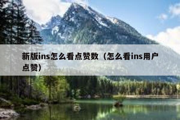 新版ins怎么看点赞数（怎么看ins用户点赞） 第1张