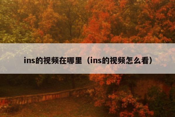 ins的视频在哪里（ins的视频怎么看） 第1张