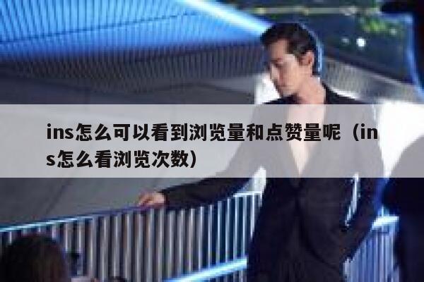 ins怎么可以看到浏览量和点赞量呢（ins怎么看浏览次数） 第1张