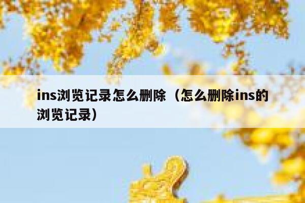 ins浏览记录怎么删除（怎么删除ins的浏览记录） 第1张