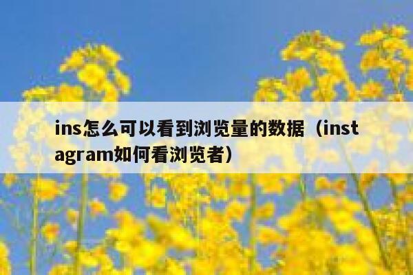 ins怎么可以看到浏览量的数据（instagram如何看浏览者） 第1张