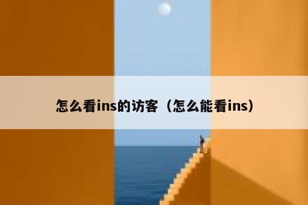 怎么看ins的访客（怎么能看ins） 第1张