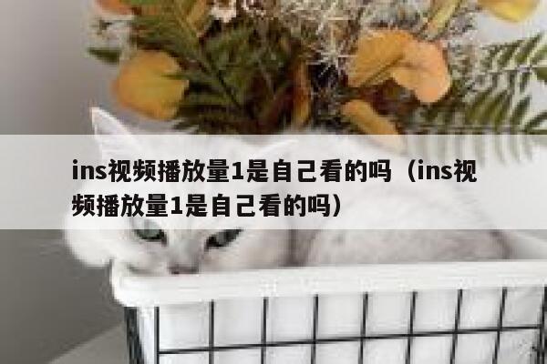 ins视频播放量1是自己看的吗（ins视频播放量1是自己看的吗） 第1张