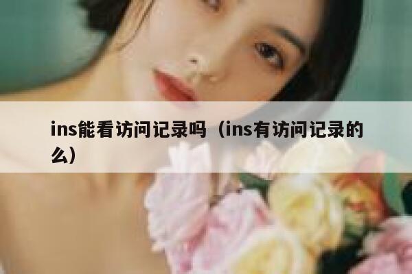 ins能看访问记录吗（ins有访问记录的么） 第1张