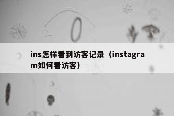 ins怎样看到访客记录（instagram如何看访客） 第1张