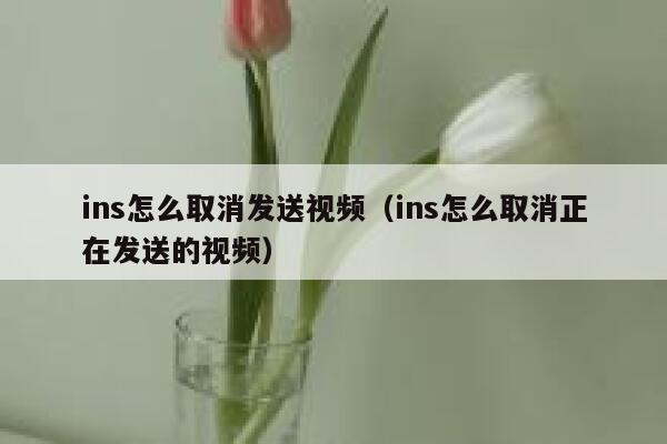 ins怎么取消发送视频（ins怎么取消正在发送的视频） 第1张