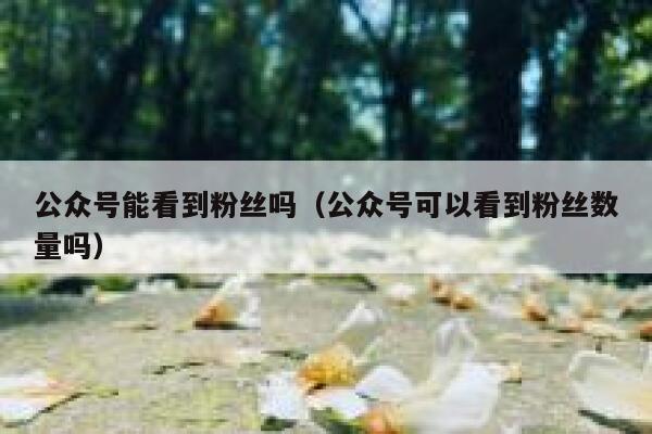 公众号能看到粉丝吗（公众号可以看到粉丝数量吗） 第1张