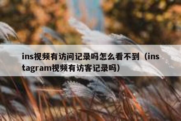 ins视频有访问记录吗怎么看不到（instagram视频有访客记录吗） 第1张