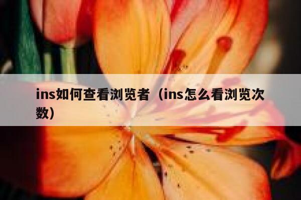 ins如何查看浏览者（ins怎么看浏览次数） 第1张