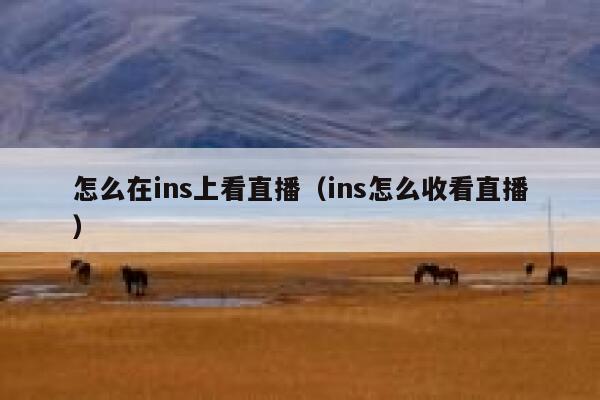 怎么在ins上看直播（ins怎么收看直播） 第1张