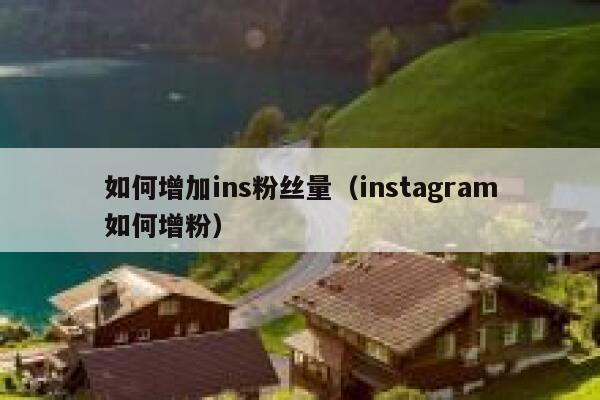 如何增加ins粉丝量（instagram如何增粉） 第1张
