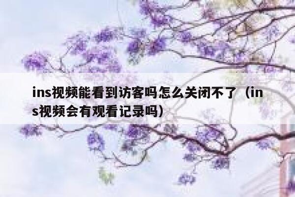 ins视频能看到访客吗怎么关闭不了（ins视频会有观看记录吗） 第1张