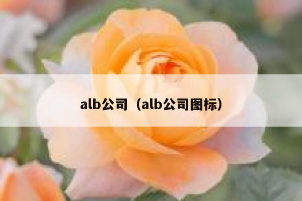 alb公司（alb公司图标） 第1张