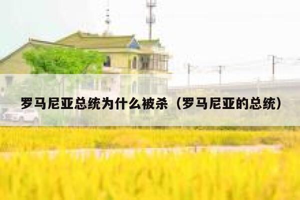 罗马尼亚总统为什么被杀（罗马尼亚的总统） 第1张