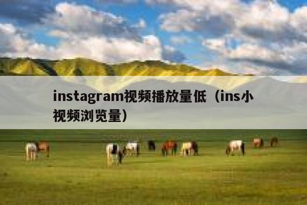 instagram视频播放量低（ins小视频浏览量） 第1张