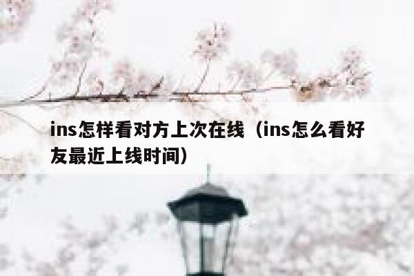 ins怎样看对方上次在线（ins怎么看好友最近上线时间） 第1张