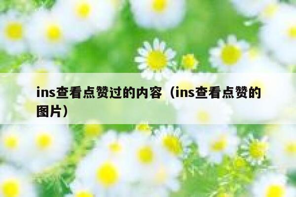 ins查看点赞过的内容（ins查看点赞的图片） 第1张