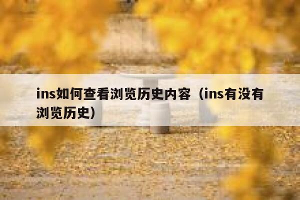 ins如何查看浏览历史内容（ins有没有浏览历史） 第1张