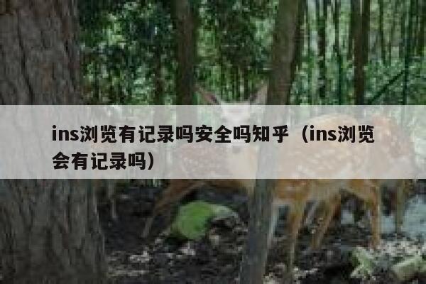 ins浏览有记录吗安全吗知乎（ins浏览会有记录吗） 第1张