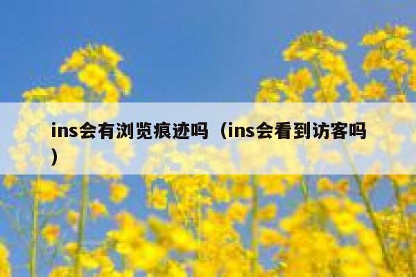 ins会有浏览痕迹吗（ins会看到访客吗） 第1张