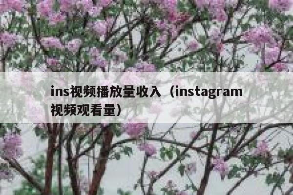 ins视频播放量收入（instagram视频观看量） 第1张