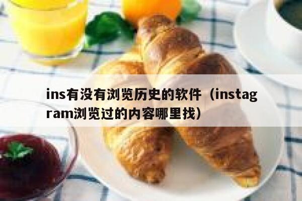 ins有没有浏览历史的软件（instagram浏览过的内容哪里找） 第1张