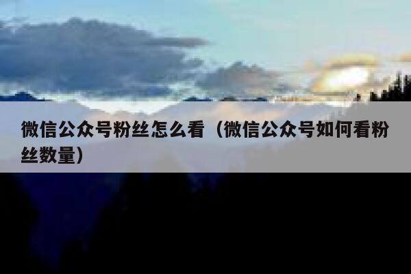 微信公众号粉丝怎么看（微信公众号如何看粉丝数量） 第1张