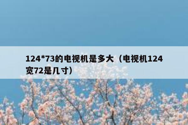 124*73的电视机是多大（电视机124宽72是几寸） 第1张