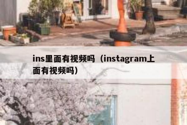 ins里面有视频吗（instagram上面有视频吗） 第1张