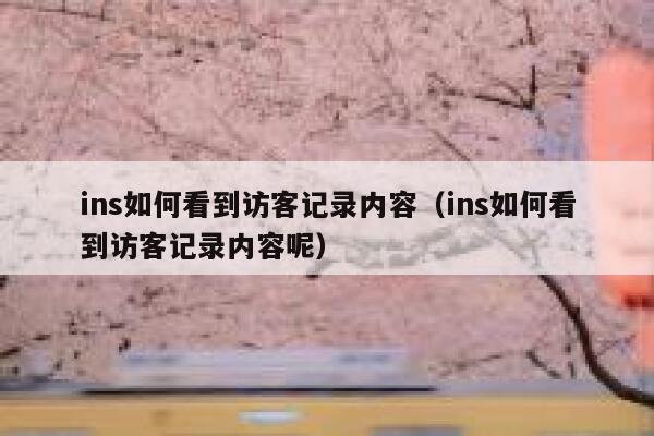 ins如何看到访客记录内容（ins如何看到访客记录内容呢） 第1张