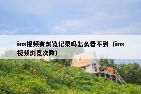 ins视频有浏览记录吗怎么看不到（ins视频浏览次数） 第1张