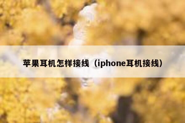 苹果耳机怎样接线（iphone耳机接线） 第1张